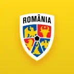 Tricolorii Icon