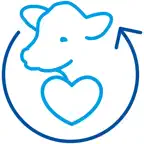Programmakalf Icon