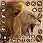 Lion Simulator Animal Game 3D iOS Icon