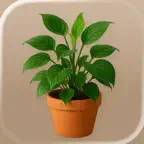 Plant Care - Identify Flowers Icon