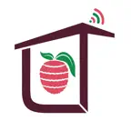 LycheeThings Icon