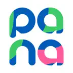 Pana: Global Dollar Account Icon