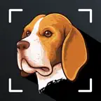 Dog Scanner Dog Breed Photo ID iOS Icon