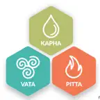 Dosha Diet App iOS Icon