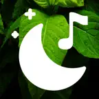 Sleep Sounds - Relaxing Music iOS Icon