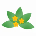 Medicinal Herbs Info iOS Icon