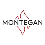 Montegan Connector iOS Icon