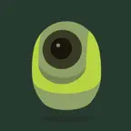 ipCAM iOS Icon