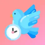 Tweetset iOS Icon