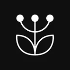 Gyógyító növények számos bajra iOS Icon