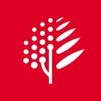 博鳌医学 Icon