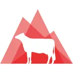 RZApp iOS Icon