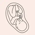 Gravid AR iOS Icon