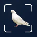 Bird Scanner - 10,000+ Birds iOS Icon