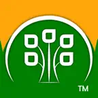 PandoArch iOS Icon