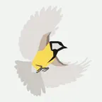 Fuglesang i haven icon
