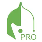 Akeyless Pro iOS Icon