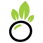 Bango Bowls App iOS Icon