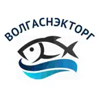 ВолгаСнэкТорг iOS Icon