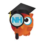 Focus New Hampshire iOS Icon