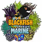 Blackfish Marine iOS Icon