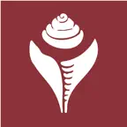 东噶大辞典 icon