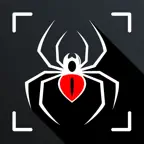 Spiders Identifier by Photo ID iOS Icon
