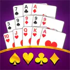 Chinese Poker - Pusoy Offline iOS Icon