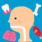 からだのクイズ iOS Icon