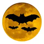 Field Guide to Australian Bats icon