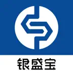 银盛宝官方 iOS Icon
