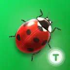 Fun Insects & Bugs for Kids iOS Icon