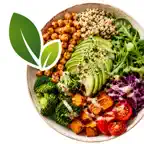 Plant Based Diet Recipes App iOS Icon