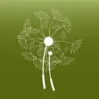 Anii Drumetiei iOS Icon