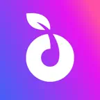 Ploomy: Chat, Meet & Date iOS Icon
