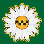 Такси Ромашка, Иркутская обл. iOS Icon