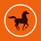 BIA Niger Mobile iOS Icon