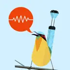 ChirpOMatic Caribbean icon