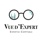Vue d'Expert iOS Icon