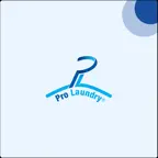 Pro Laundry iOS Icon