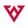 Velocity Automotive