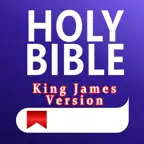 Bible & Audio: THE ONE Icon