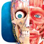 Virtual Reality Human Body! iOS Icon