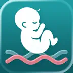 Contraction Timer & Tracker IO icon