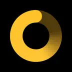 Daily Planner & Habits: WayDay iOS Icon