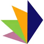 DINAMIC SERVICE SRL iOS Icon