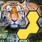 Jigsaw hexa puzzle iOS Icon