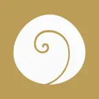 T21 Connect Icon