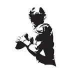 Data Play iOS Icon