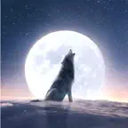 Moonovel iOS Icon